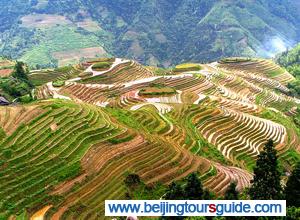 Longji Terraced Field