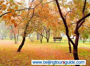 Xiangshan Park in Autumn